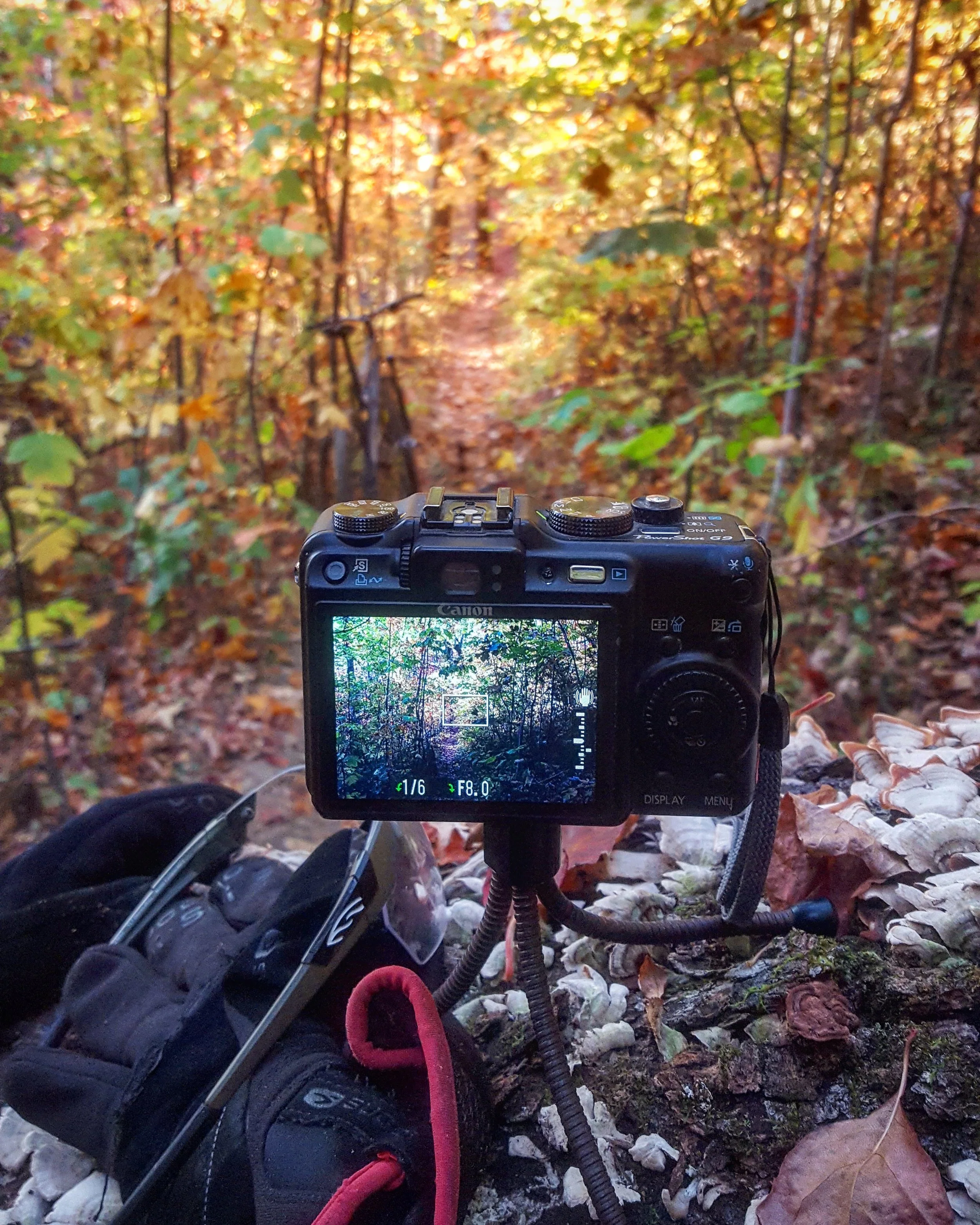 My trusty Canon G9 and flexi tripod. They make great mountain biking companions. 