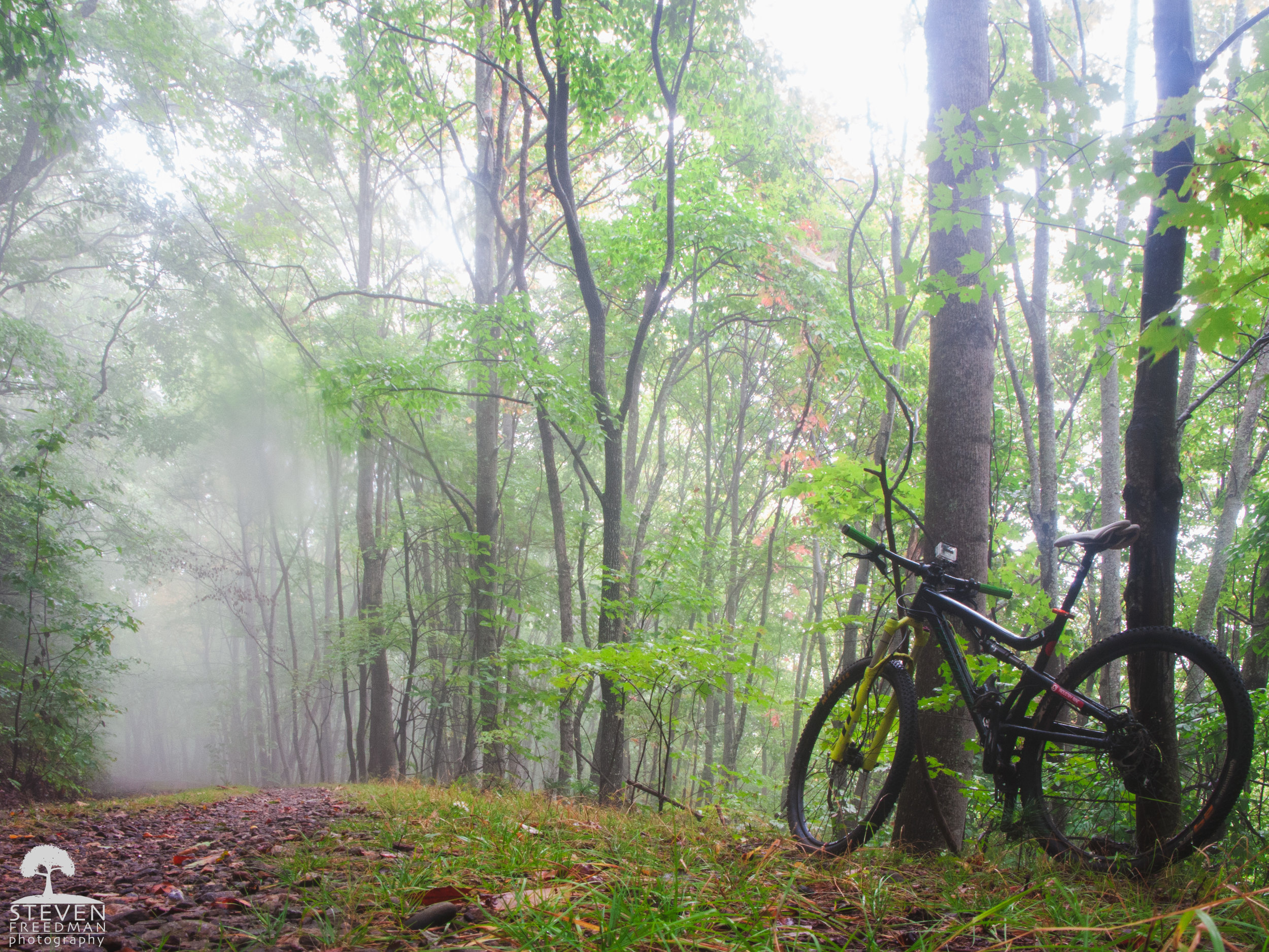 A perfect foggy September morning where you can see a slight bit of color showing. 