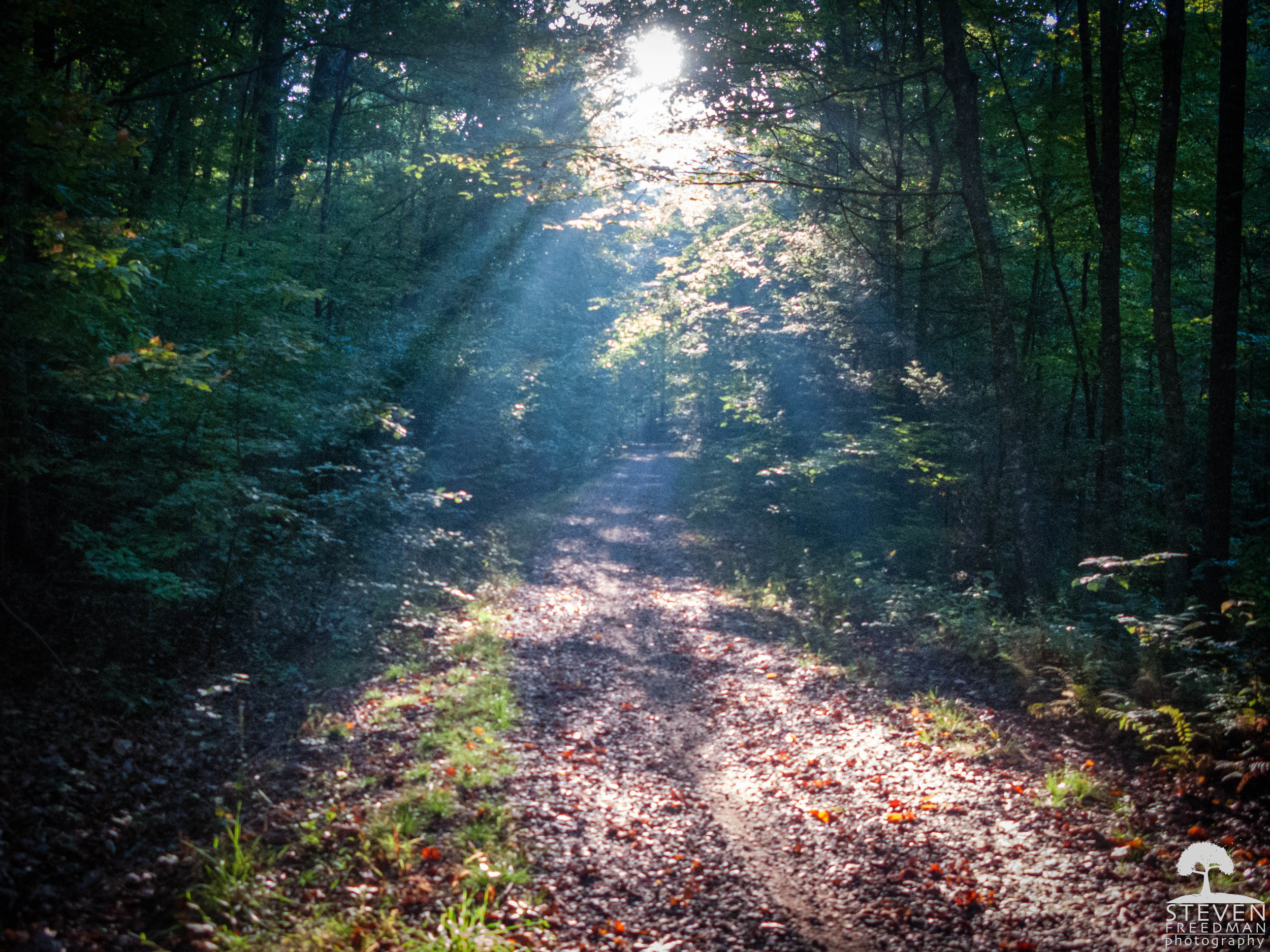 September mornings are often filled with stunning crespicular sun rays. 