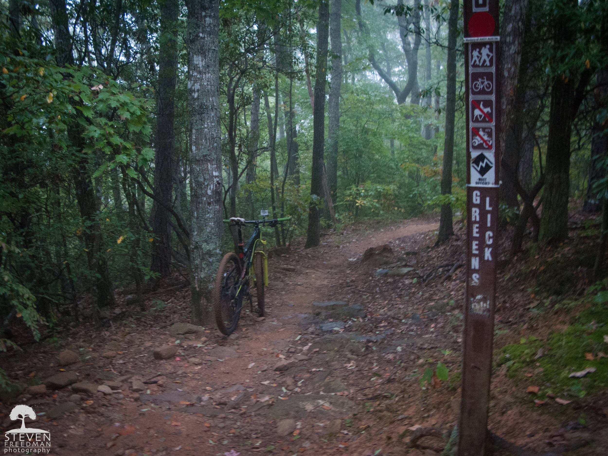 It's always a great feeling to reach the top of Greenslick in Bent Creek where two miles of downhill mountain biking bliss is earned. 