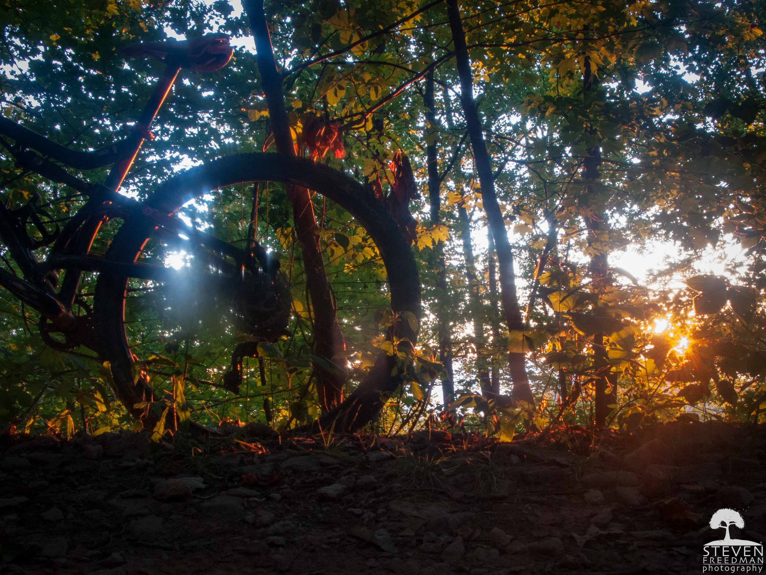 Early morning light on my bicycle. 