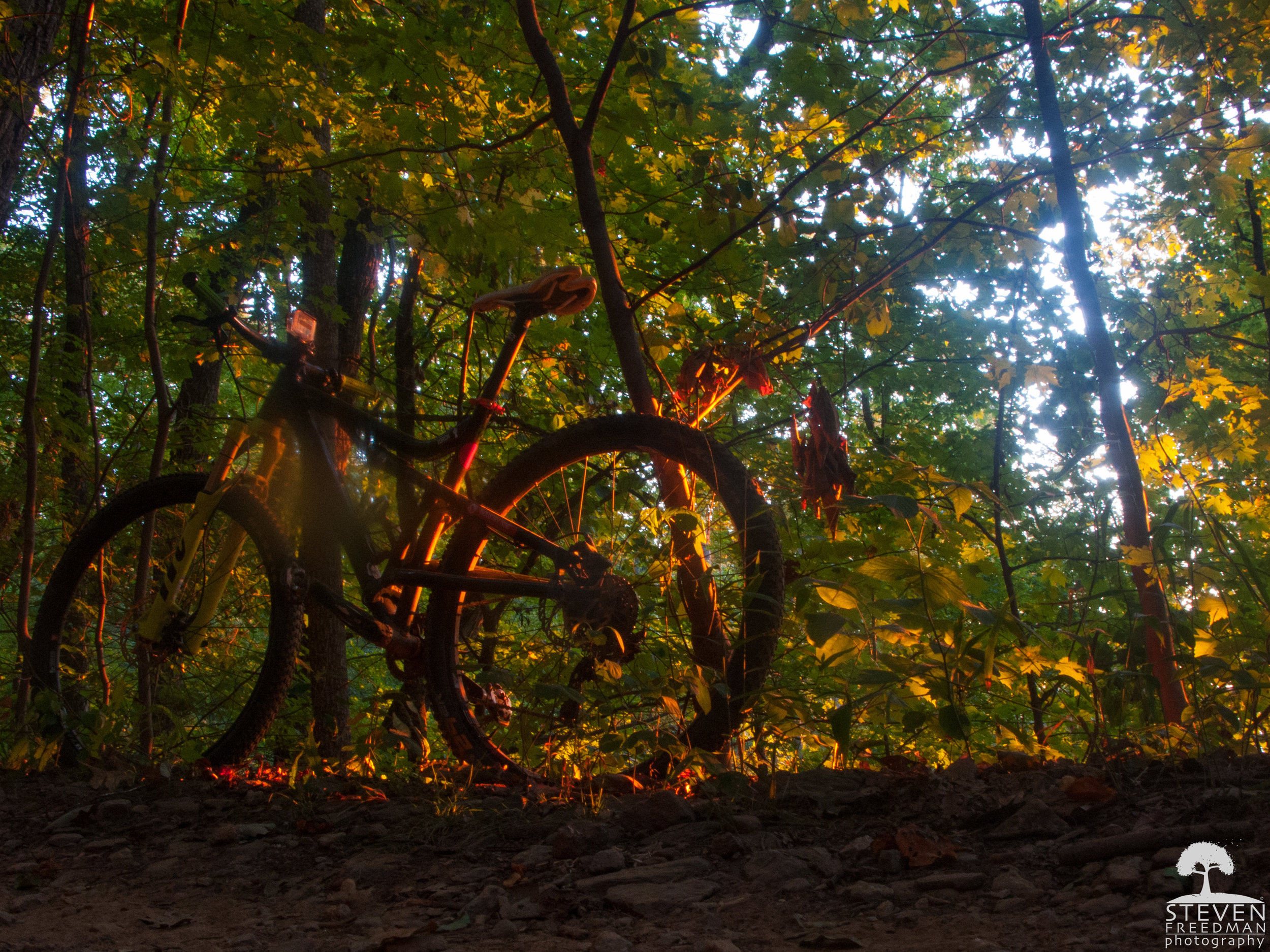 There's and old saying about mountain biking in Pisgah that goes, "have to go up to go down." That's fact. 