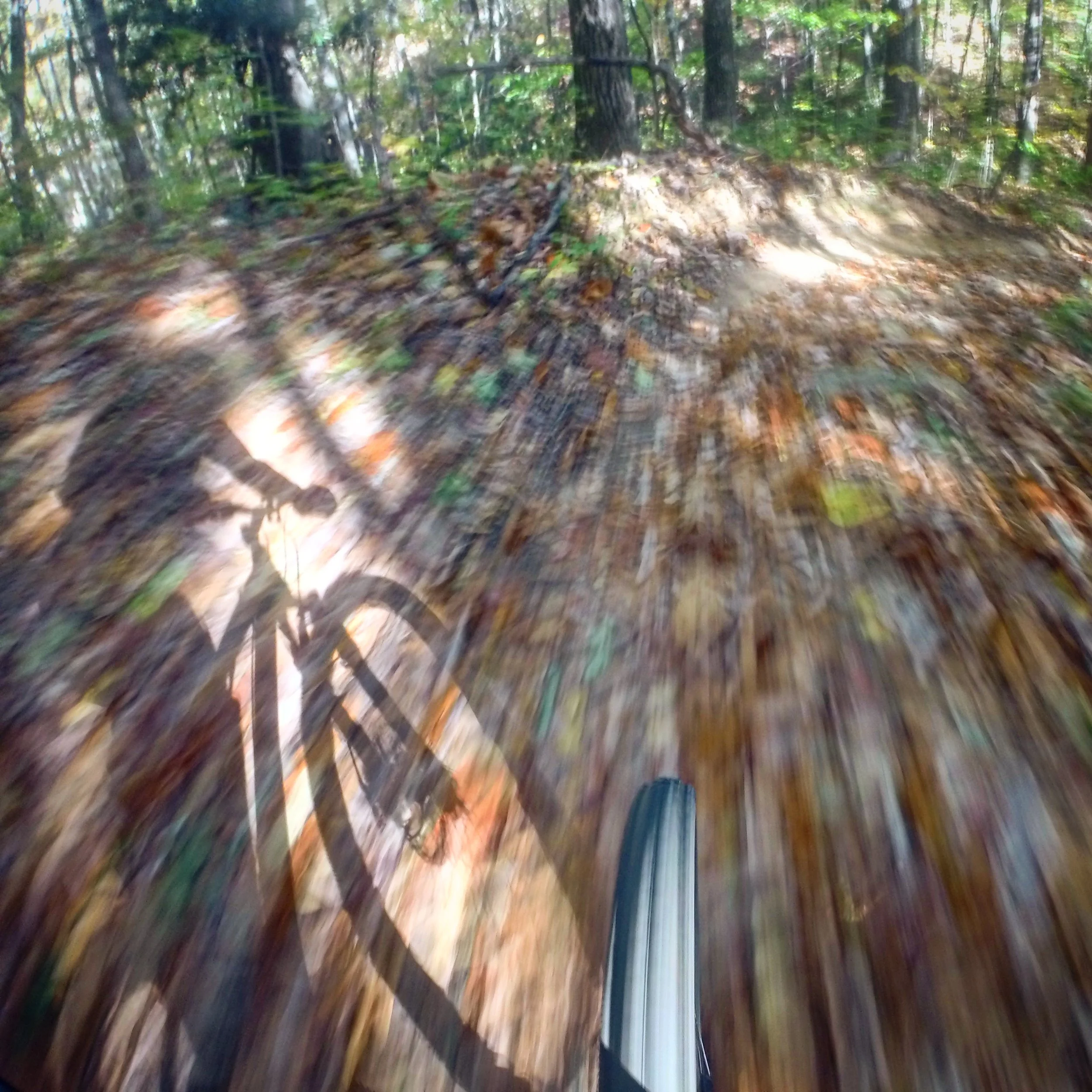 A motion shot captured with my Go Pro mounted on my handlebars. 