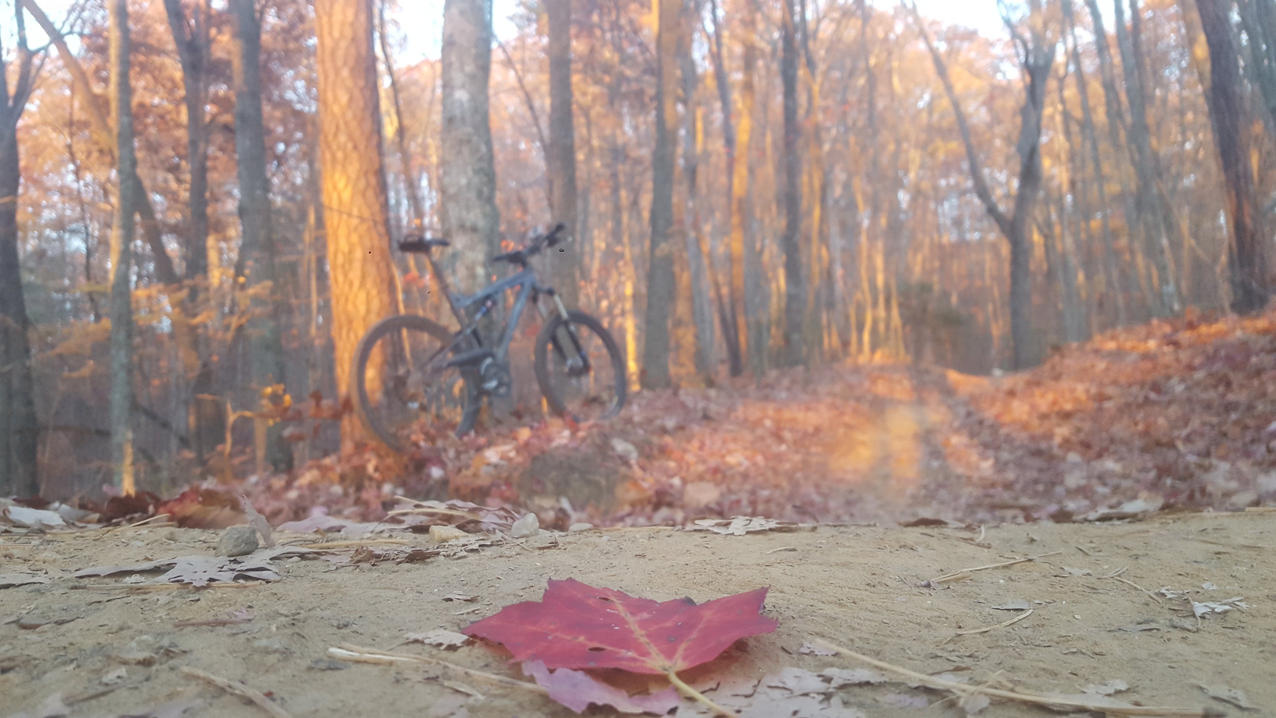 Until next fall!