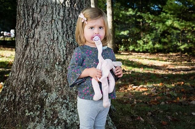 For the last several years I have had the pleasure of making fall portraits at Nativity Preschool and Kindergarten in Arden, NC. All three of our children have attended NPK and after nine amazing years we are in our last few months there with our you