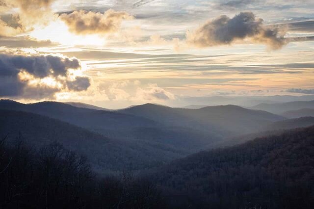 Was fortunate enough to catch this beauty while on a photo assignment this morning. So much fun!
.
.
.
#ashevillephotographer #forhire #sunrise #goldenhour #asheville #nc #blueridgeparkway