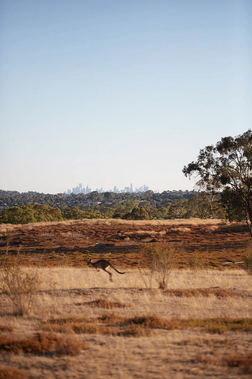 Parks_063.jpg