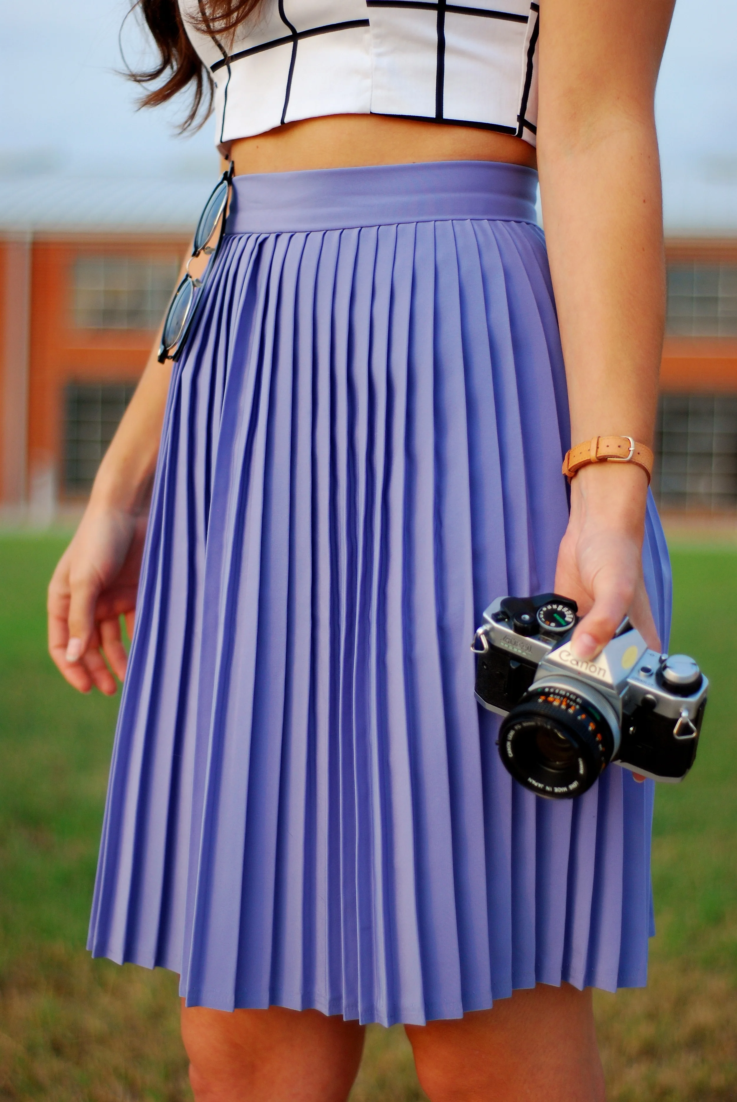 Pleated Skirt 161.JPG