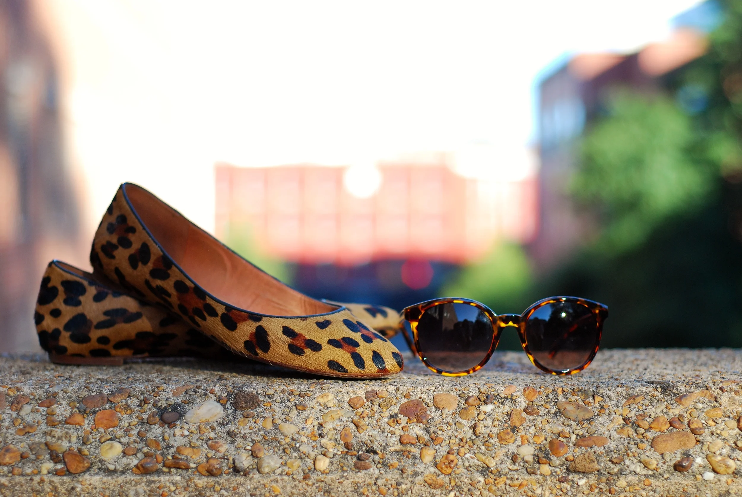  When those puppies start barking.....bring out the leopards.&nbsp; 