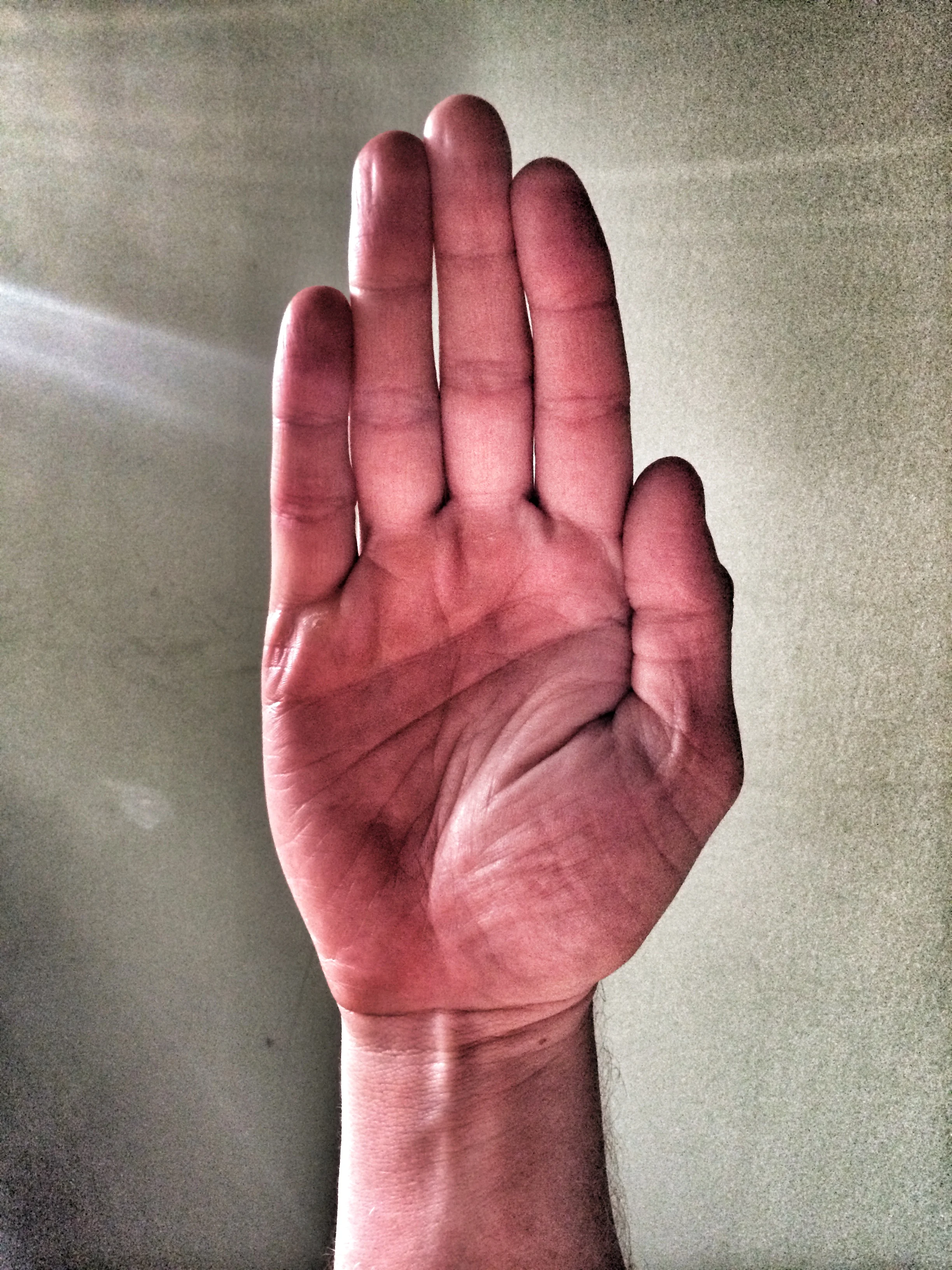 photo (2).JPG