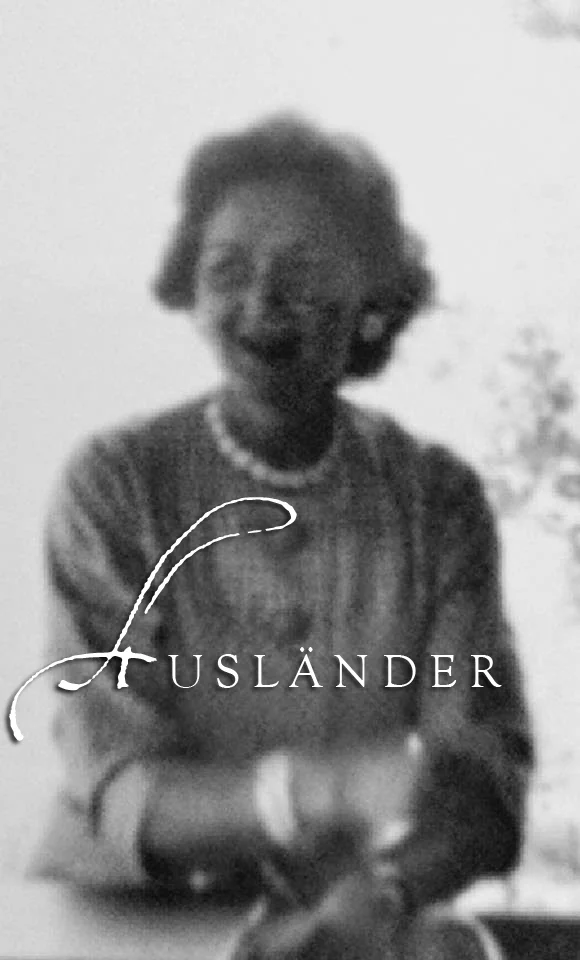 Auslander cover.jpg