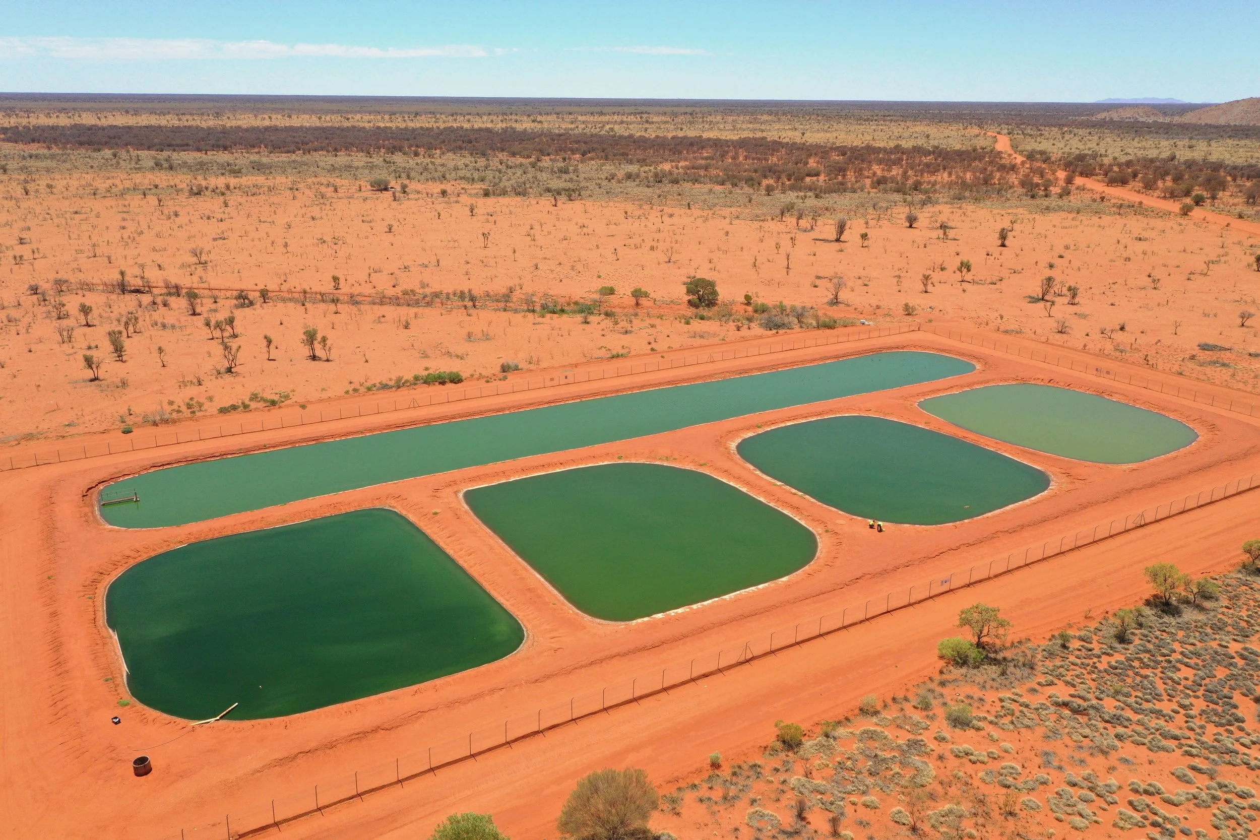 Papunya Ponds