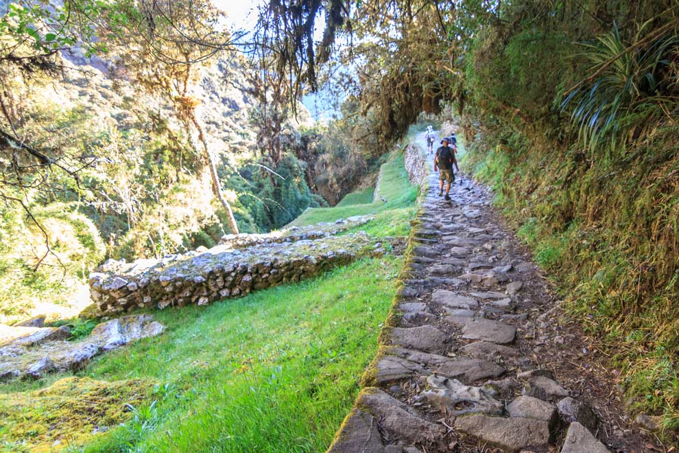 Trail is starting to get a tropical feel at the end of Day 2.