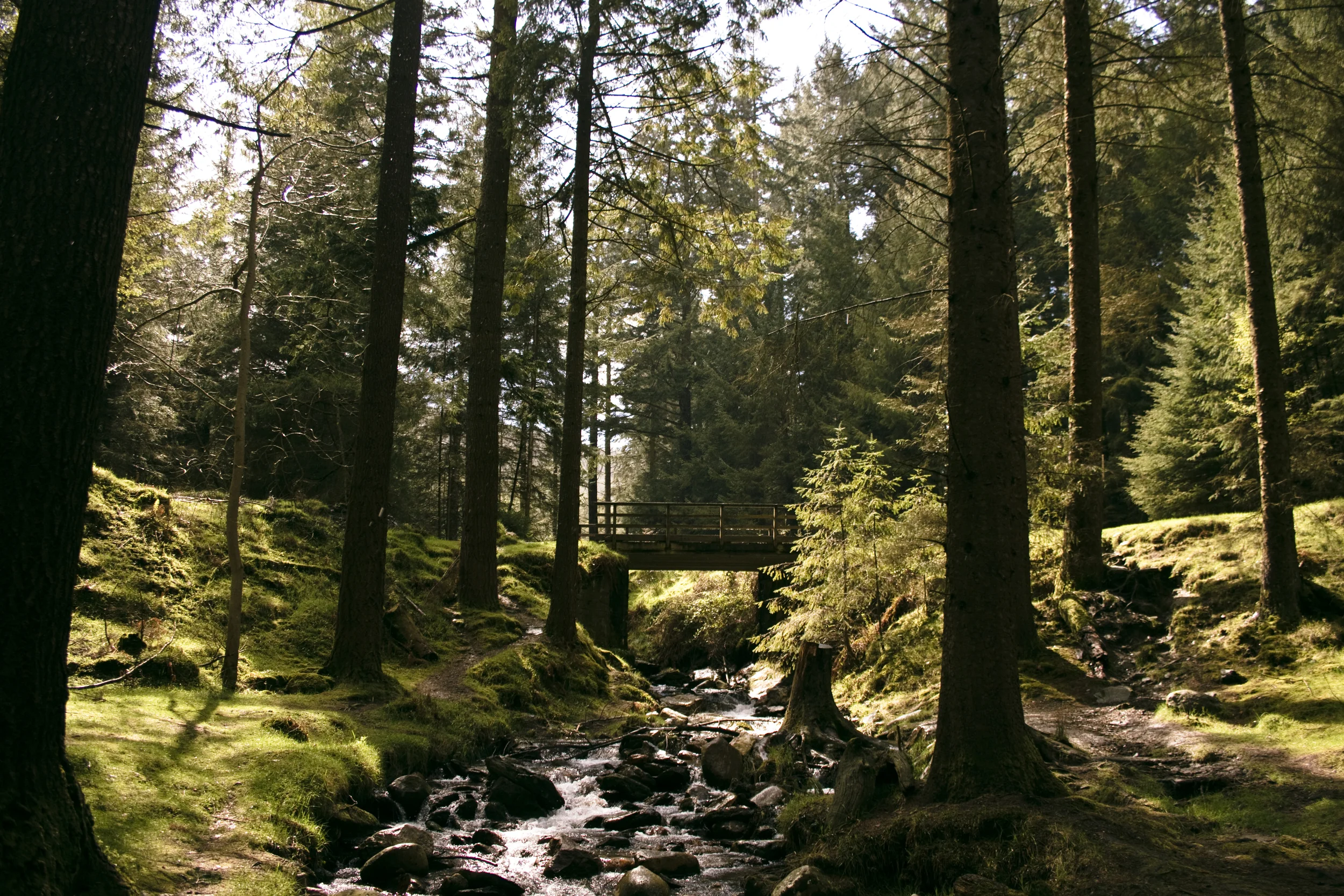 A day in Wicklow National Park