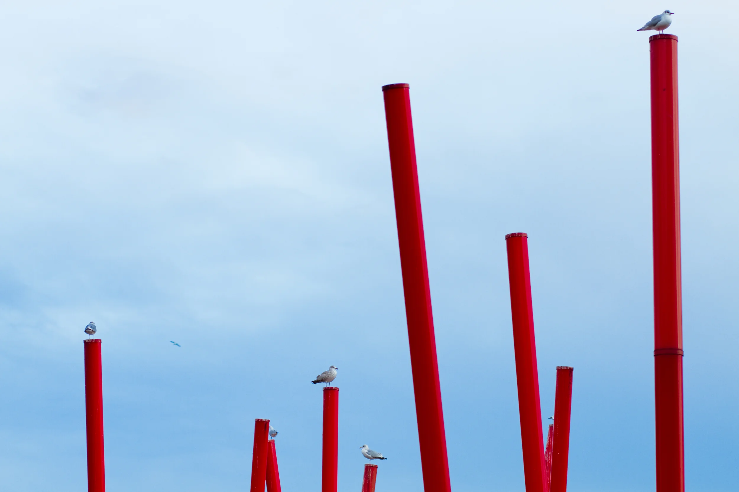 A December afternoon