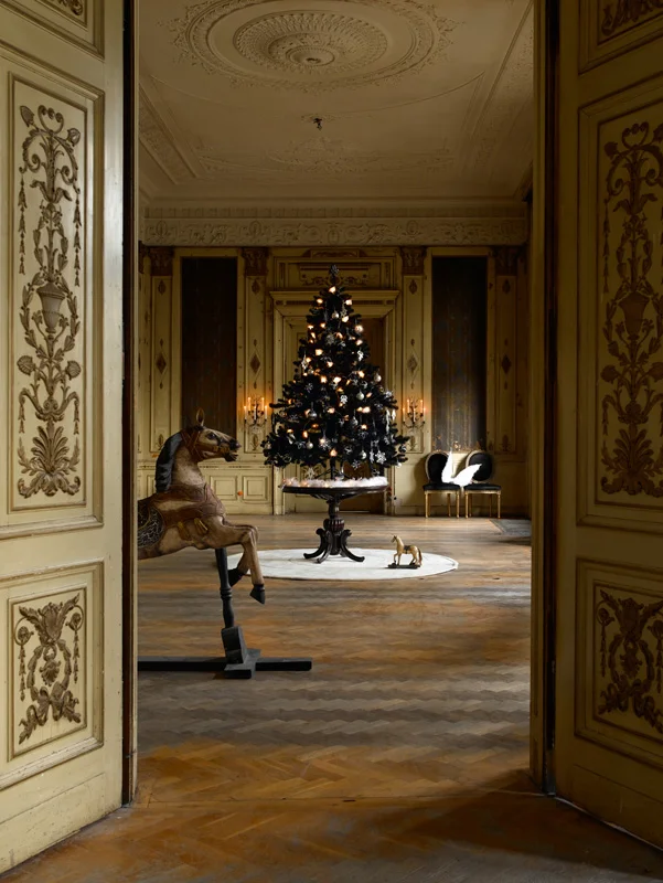 VIL1_interior008.jpg