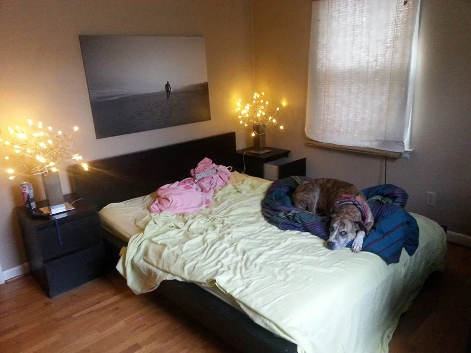 Here's a before shot right after we got the room set up with the original surfer dude. 