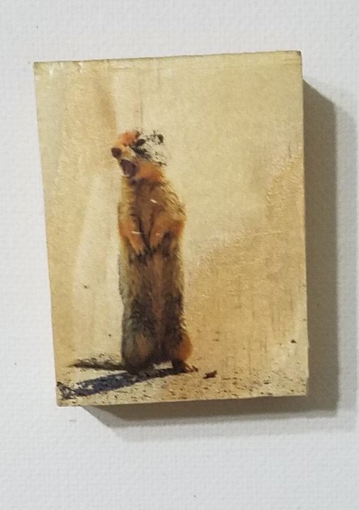Cutest little magnet, also from Pete's Prints LLC