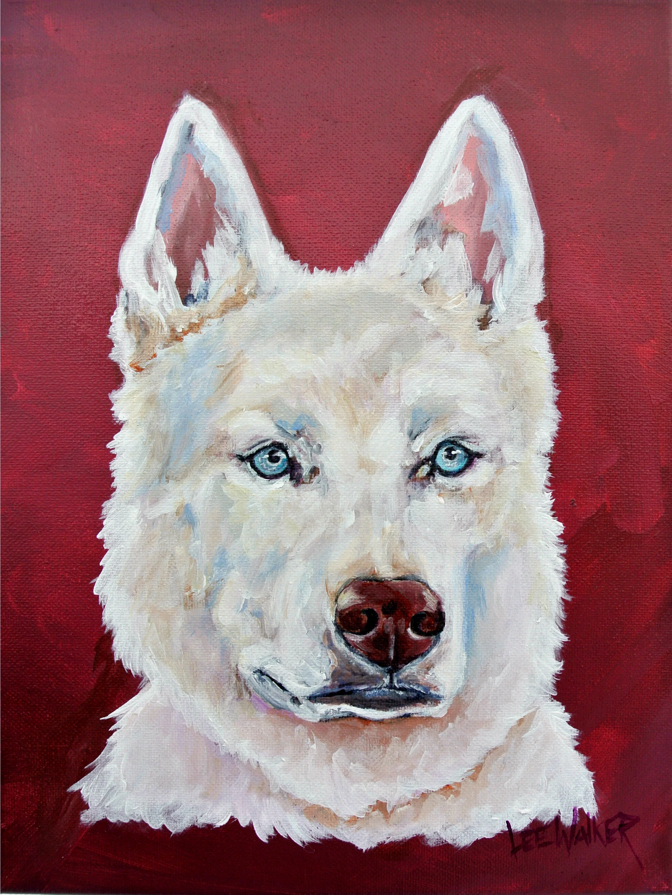 husky.jpg