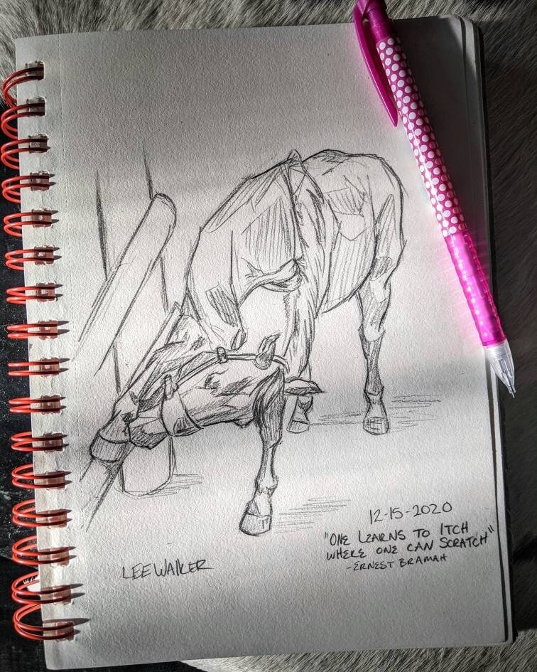 Itch where you can scratch 12/15