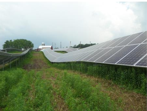 Panels, barn, emergent twister.PNG