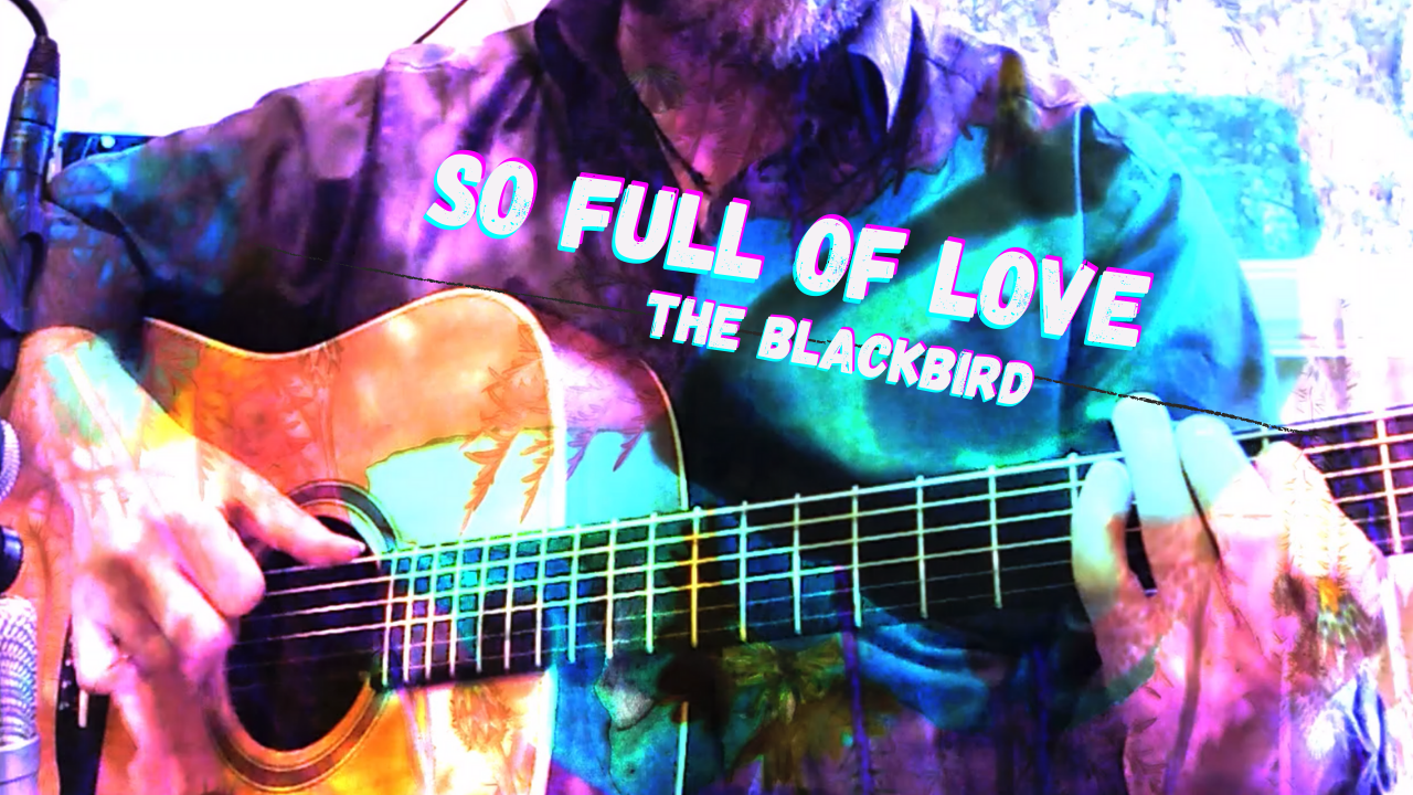 The Blackbird Newsletter (Fall 2020)