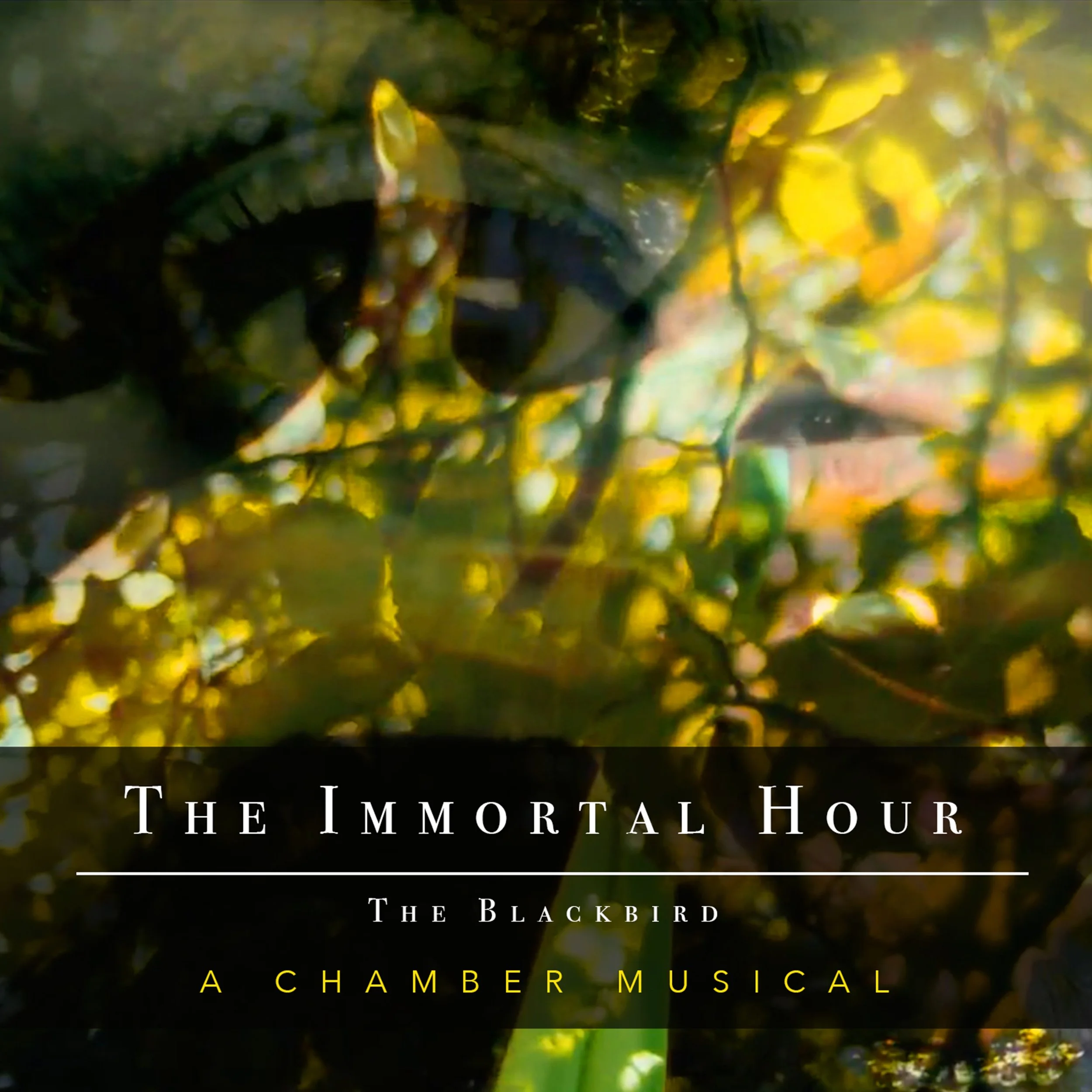 icon immortalhour.jpg