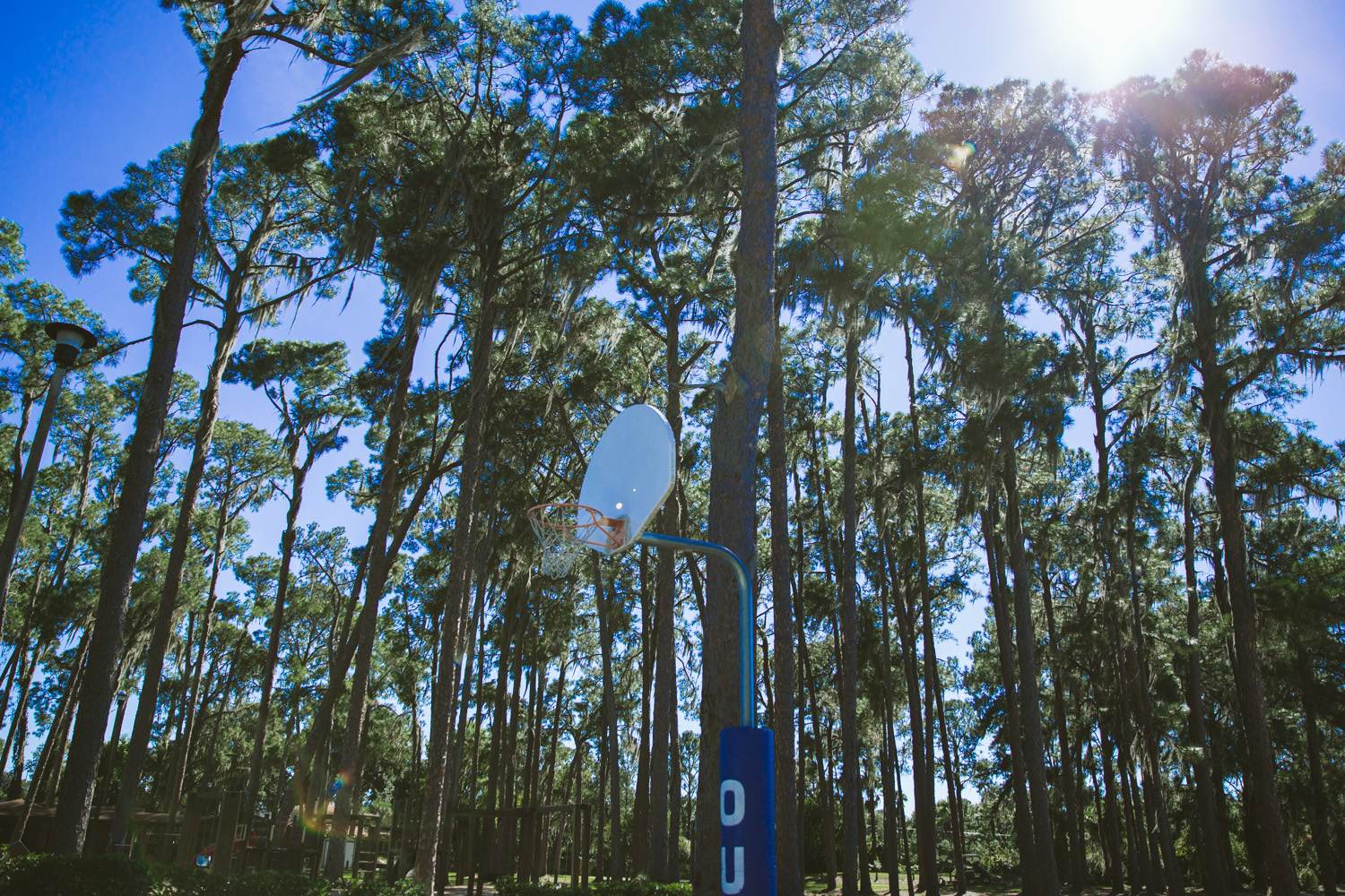 OUC pines at windermere_-20.jpg
