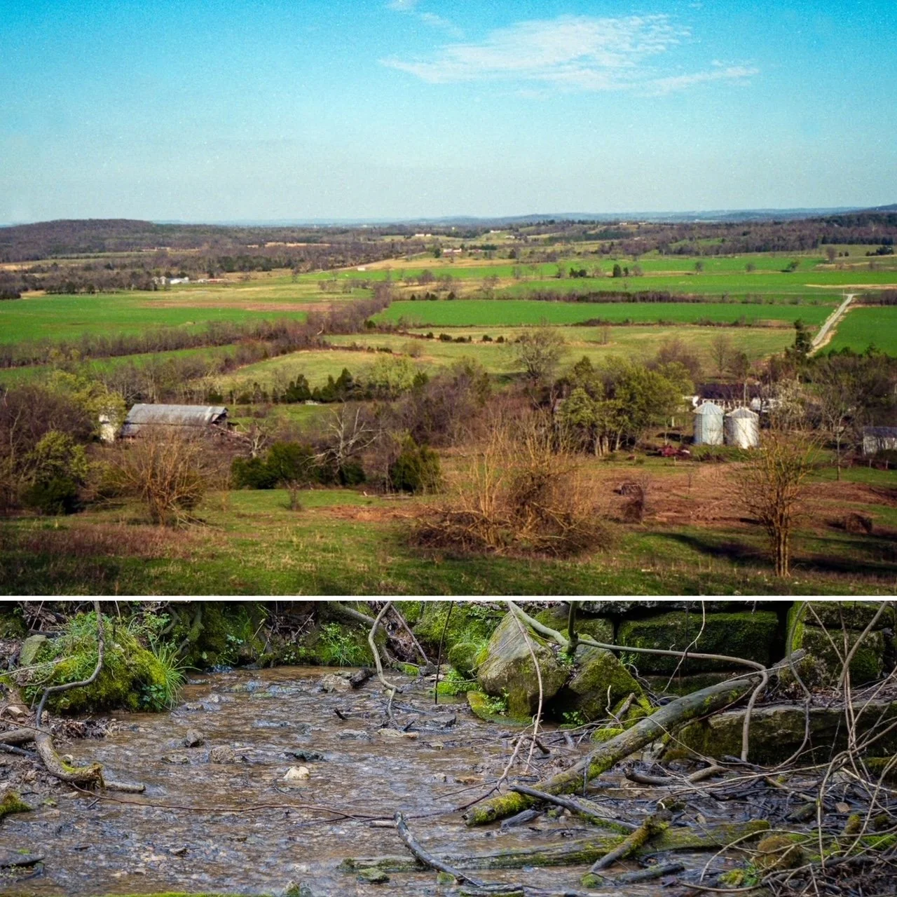 World Water Day 2022: Reflections on a Blessed Childhood