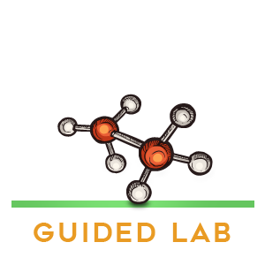Can’t keep up with the kids in Open Lab? Don’t have enough kids together to form your own field trip / group? Don’t worry…simply sign up for a scheduled 1-hour group lab session but let a Little Beakers lab assistant guide the kids! LEARN MORE