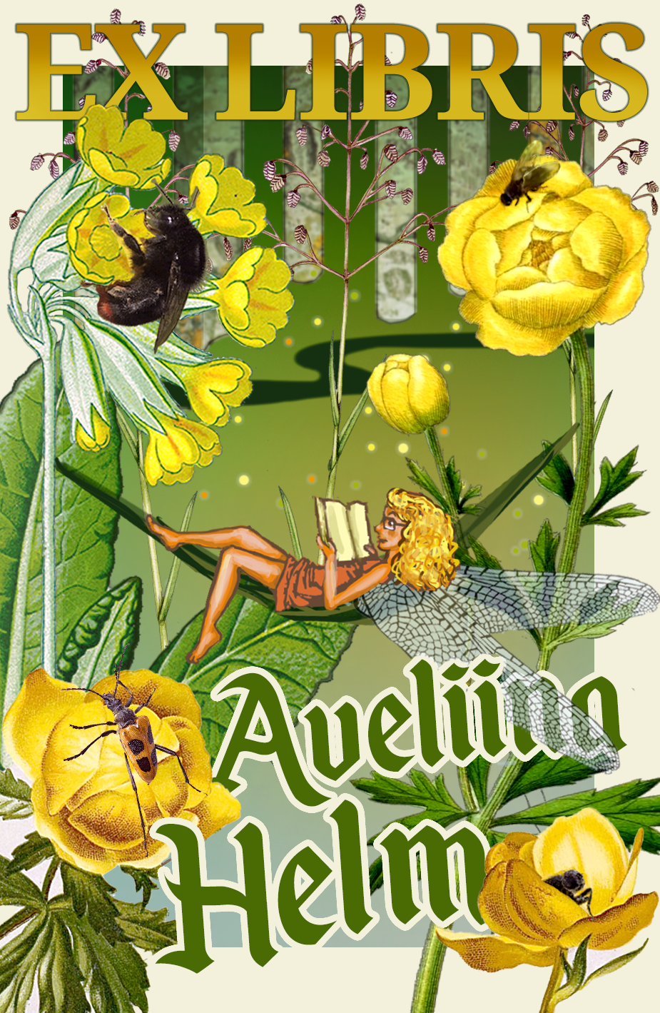  ExLibris  Digimaal ja digikollaaž 