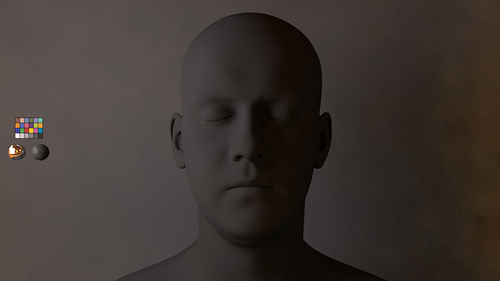 Blocking the environment light using a black panel.
