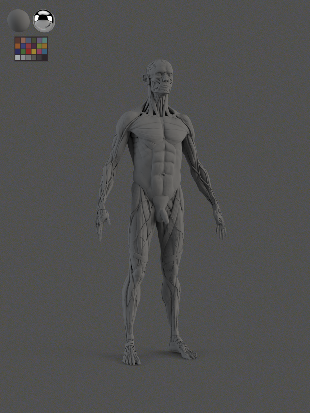 Look Development light rig for arnold — xuan prada