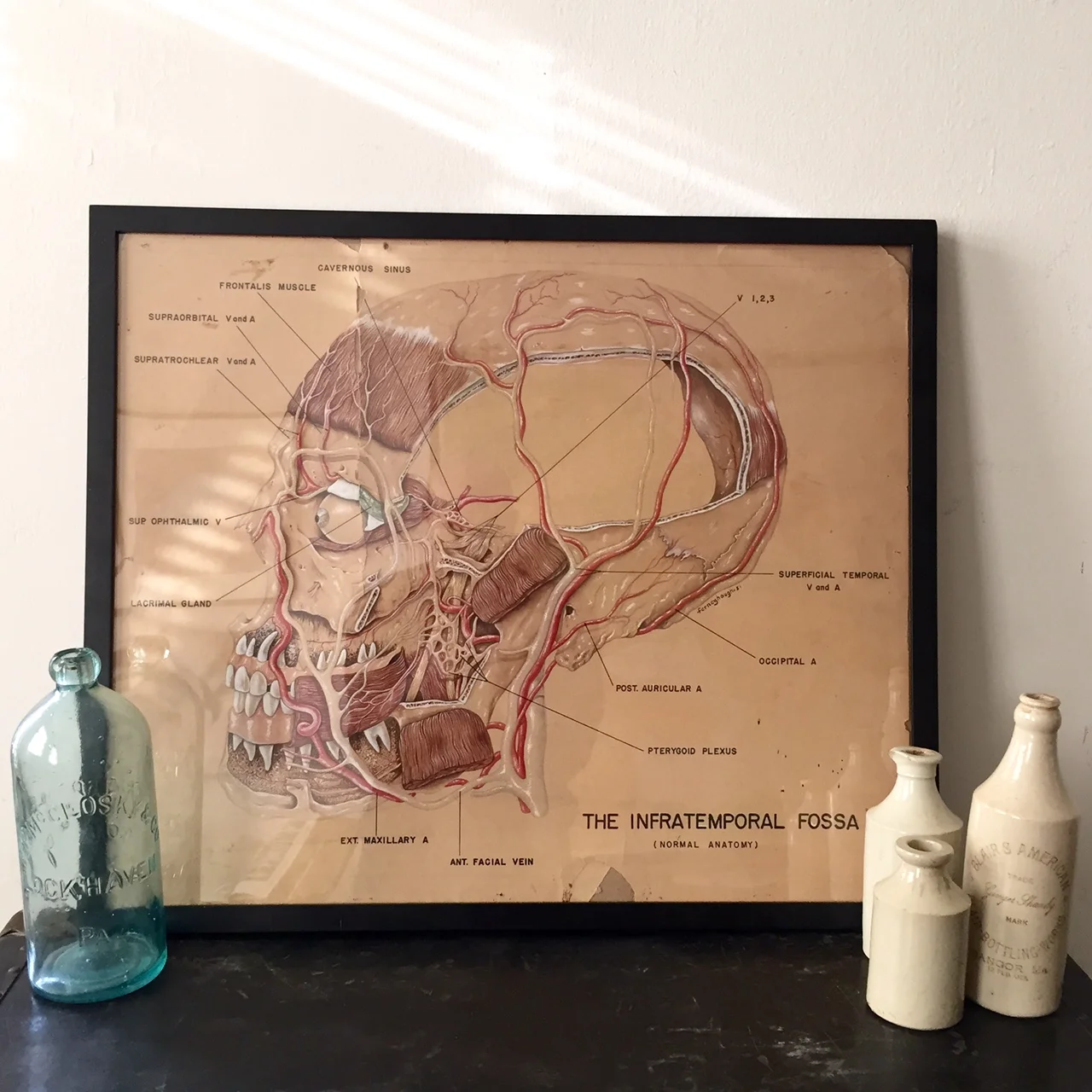 FullSizeRender (39).jpg