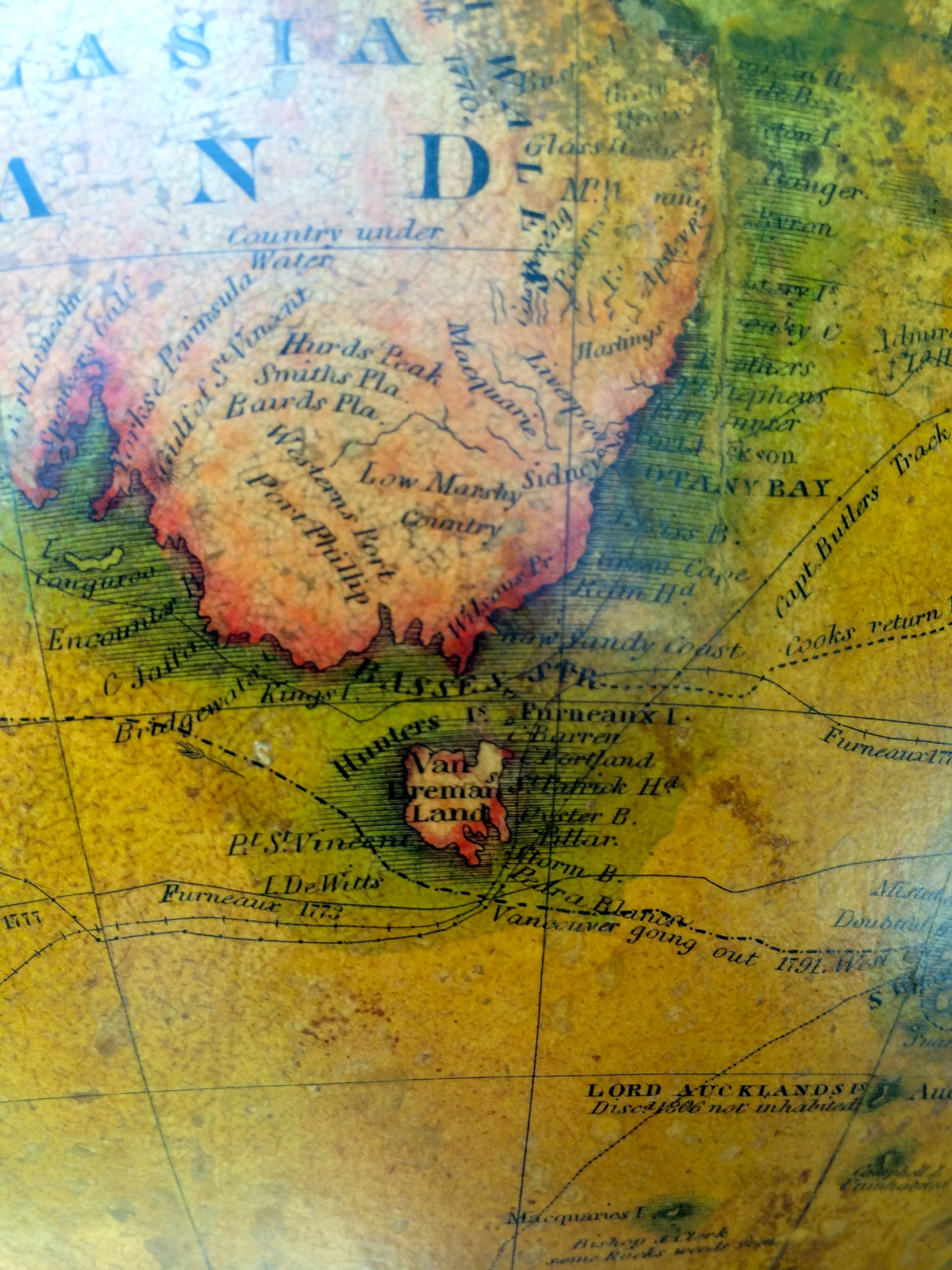 IMG_2129.jpg