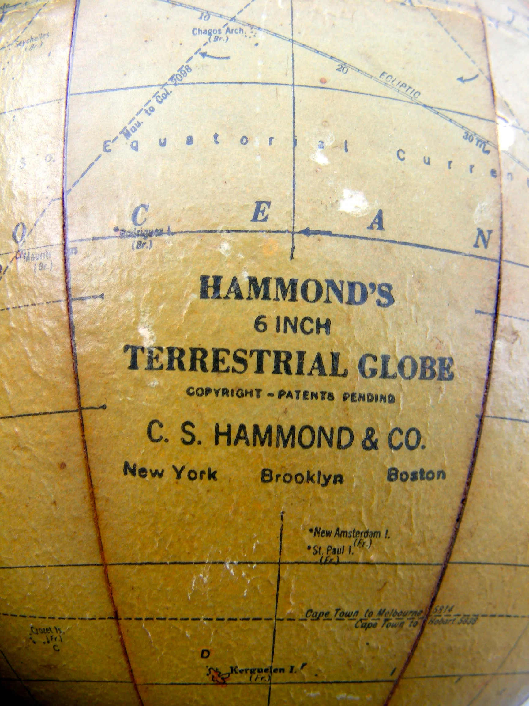 DSCF19242.jpg