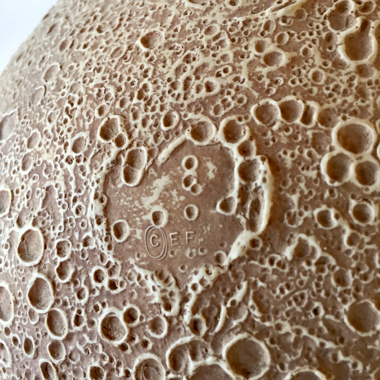 FullSizeRender-41.jpg