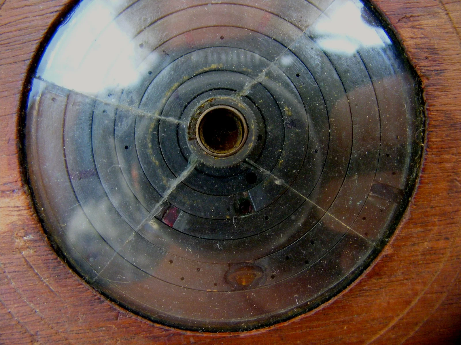DSCF1362.jpg