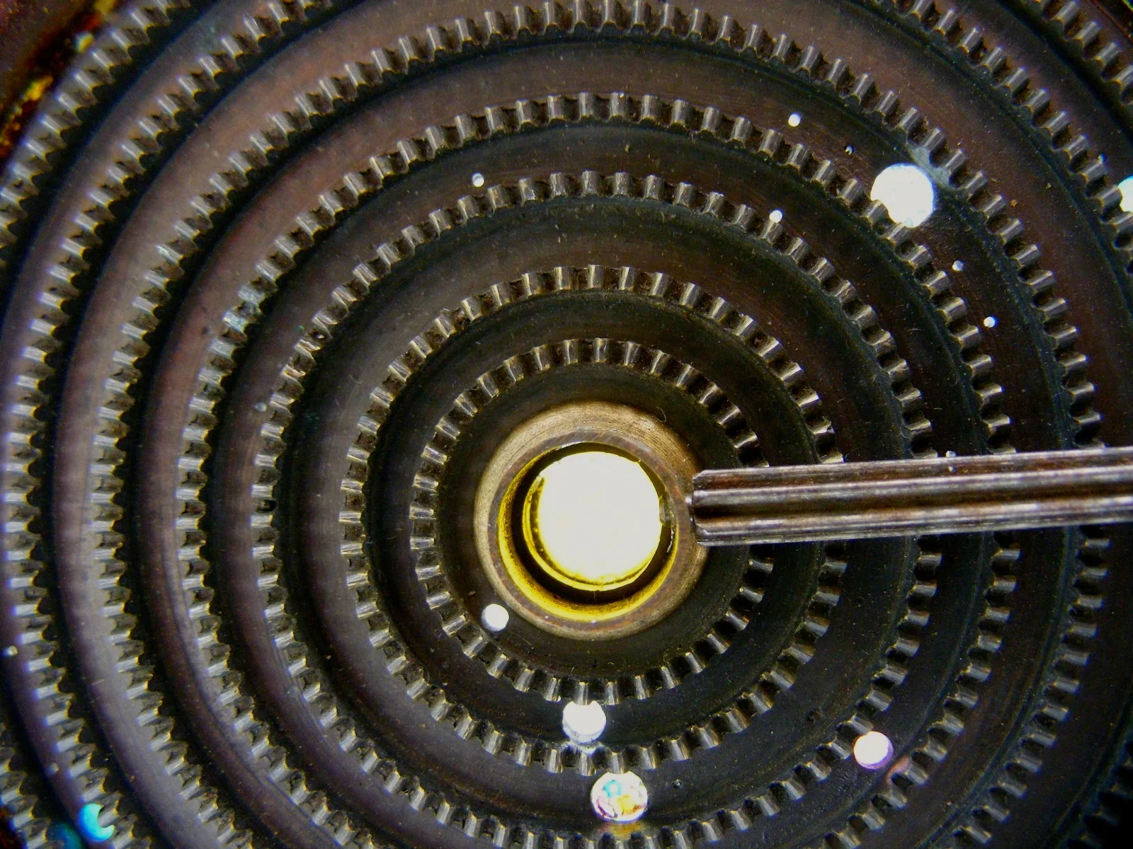 DSCF1367.jpg
