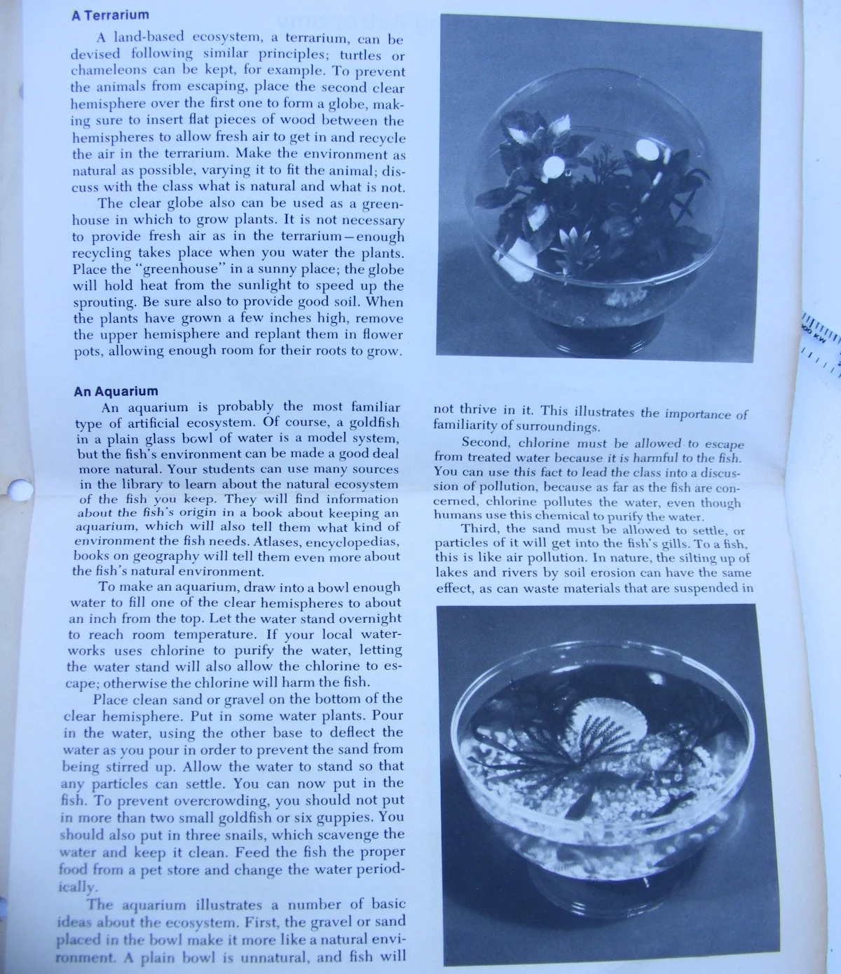 DSCF1087.jpg