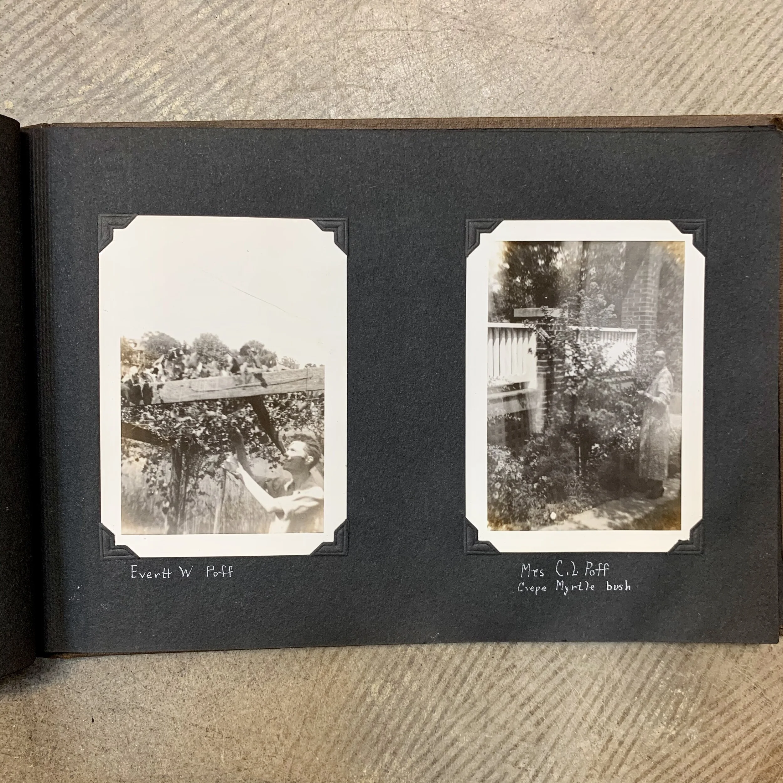 IMG_1874.jpg
