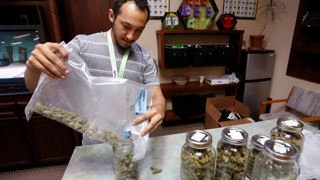 Miles Claybourne sorts strains of marijuana for sale at The Station, a cannabis shop in Colorado. (Brennan Linsley/AP)