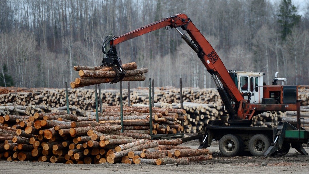 Logs being unloaded at Murray Brothers Lumber Company woodlot in Madawaska, Ontario. (Sean Kilpatrick/CP)
