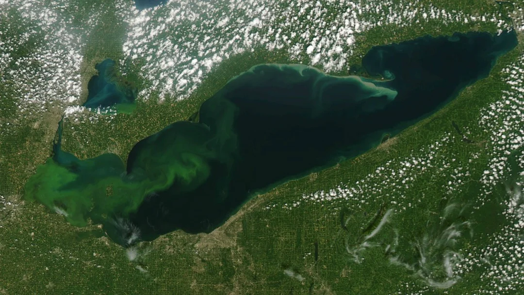 TVO: What the Lake Erie Connector project could mean for your hydro bill