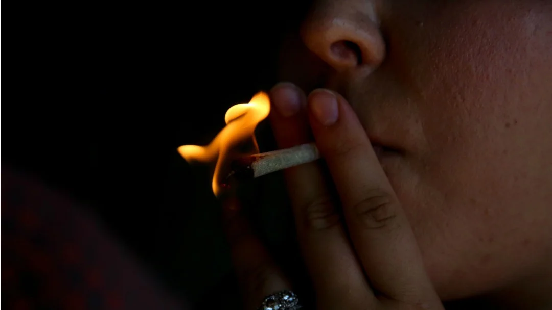 TVO: Liberals roll out rules for rolling up in Ontario