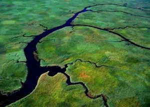 tributary-river.jpg
