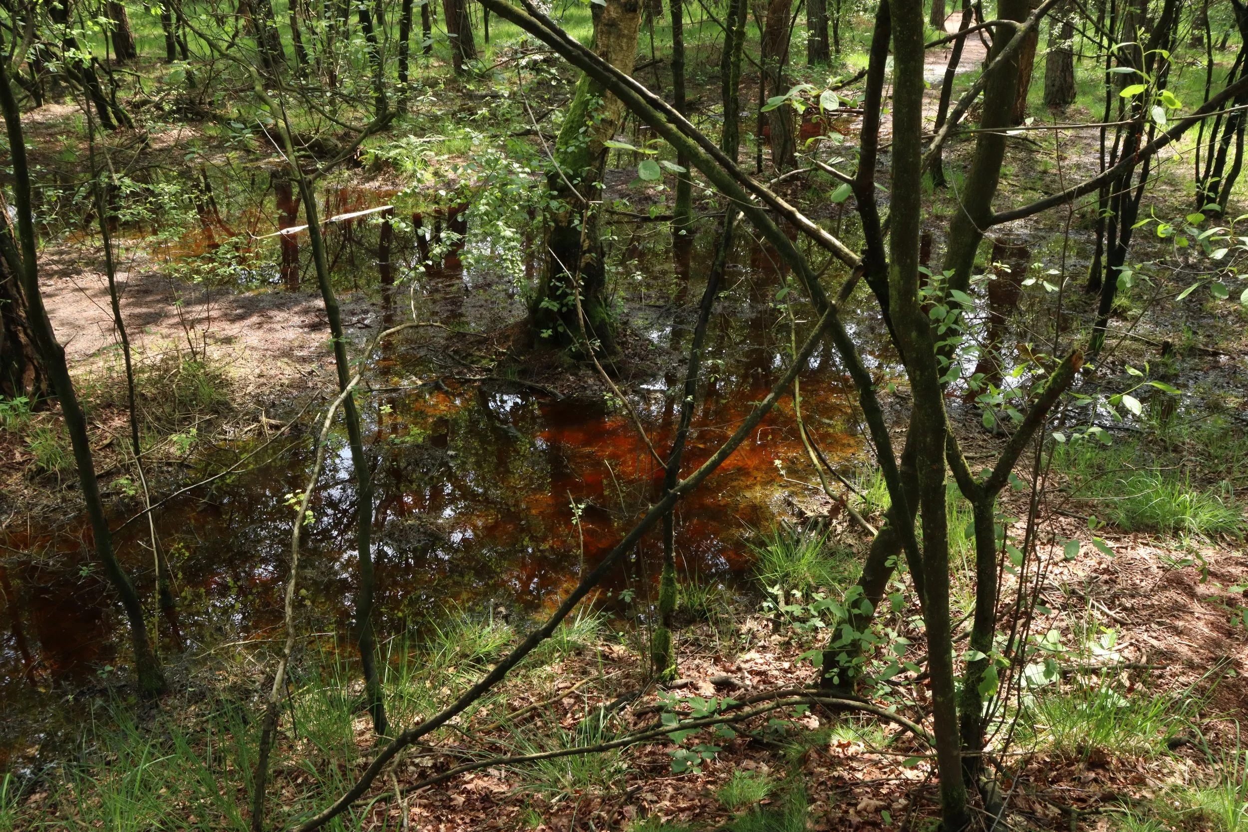 IMG_4865.JPG
