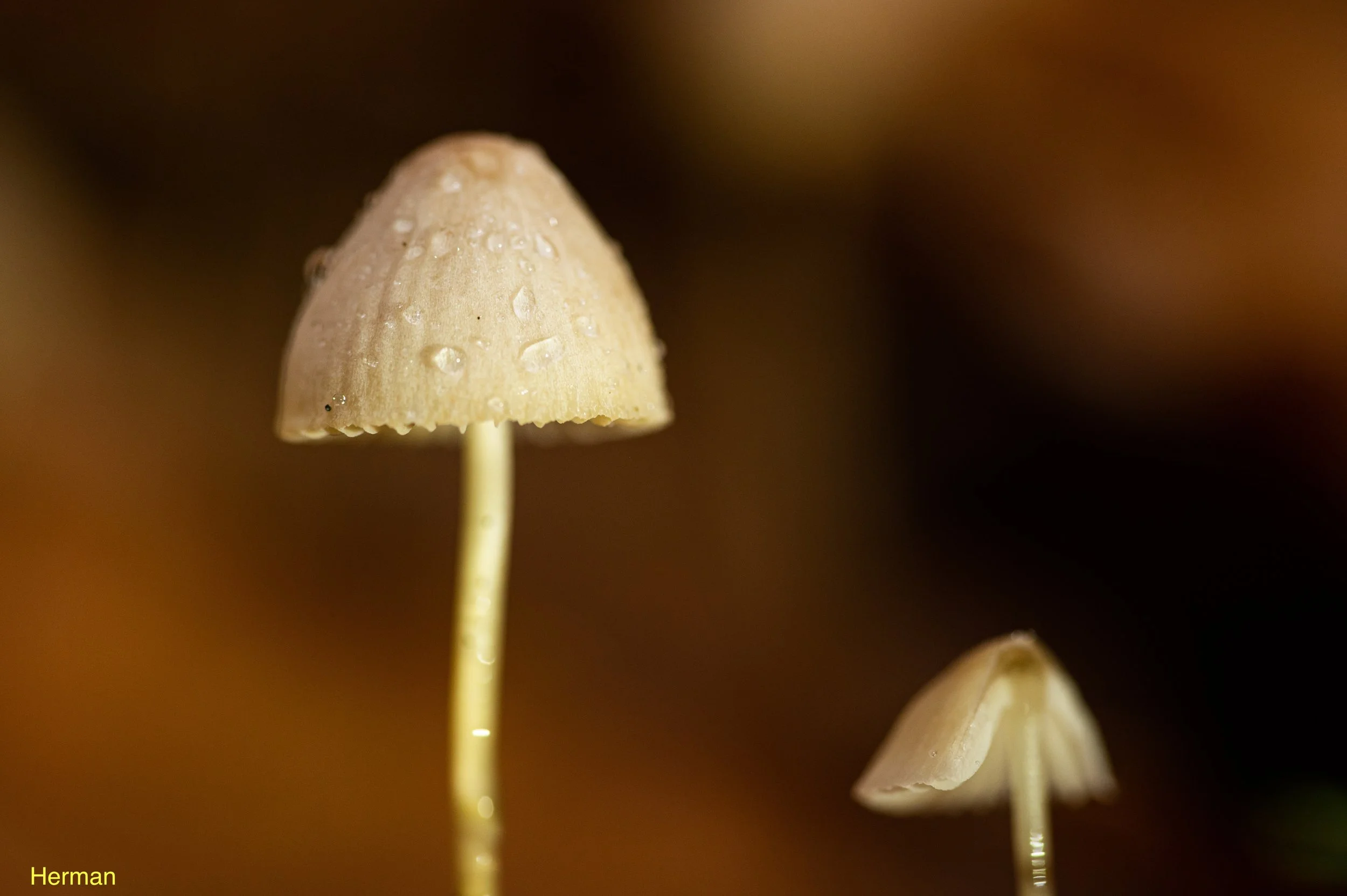 DSC_5713-3.jpeg