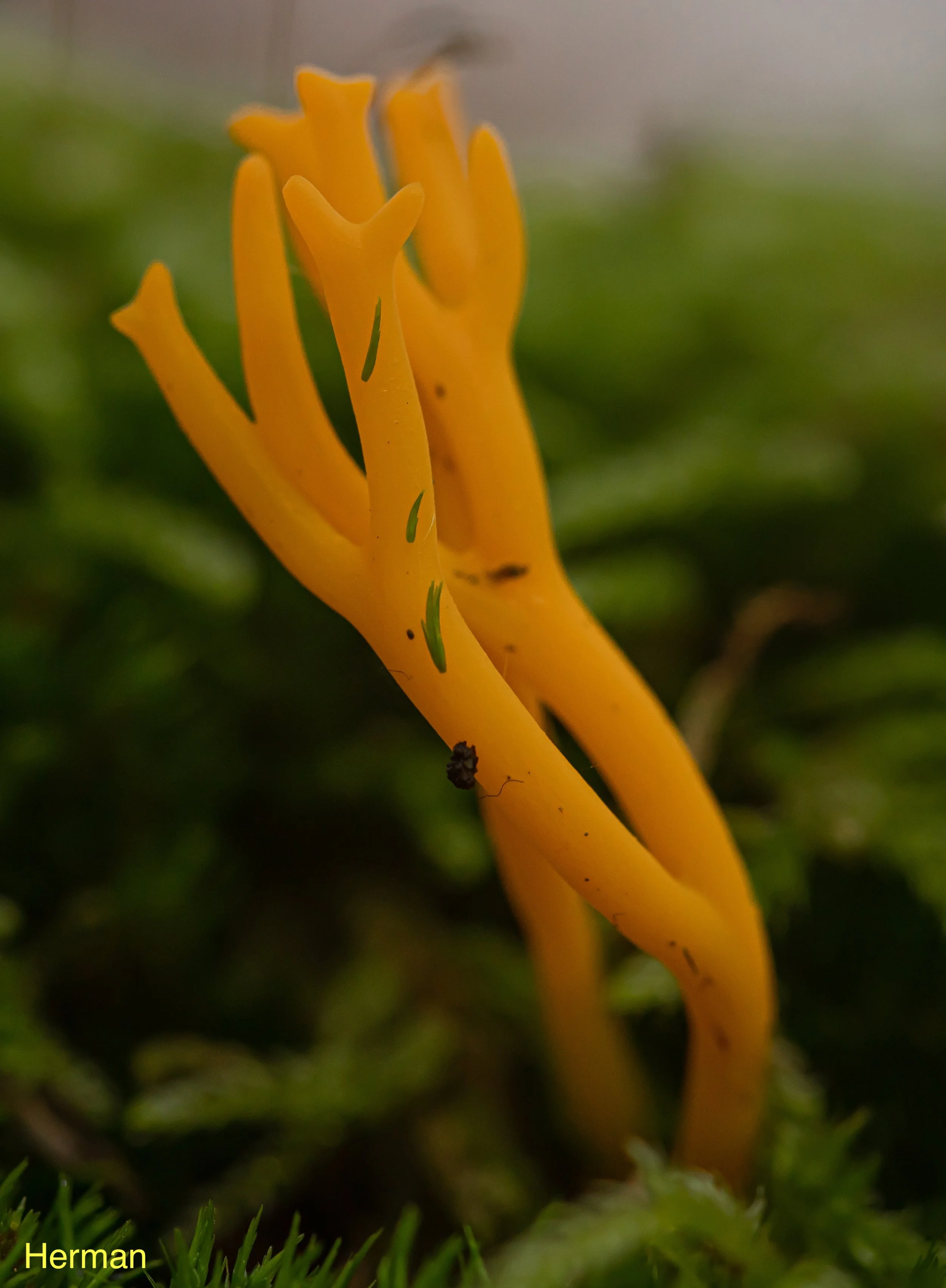 DSC_5731-9.jpeg