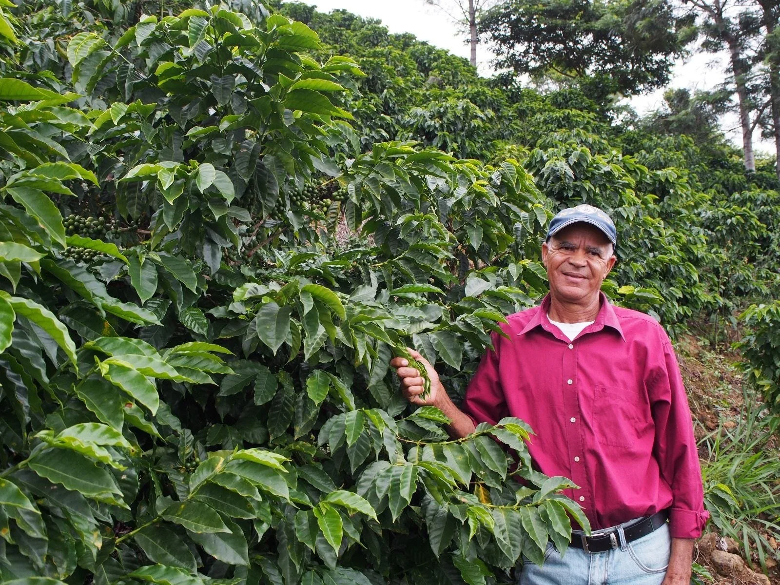   Arroyo Bonito Jarabacoa La Vega  